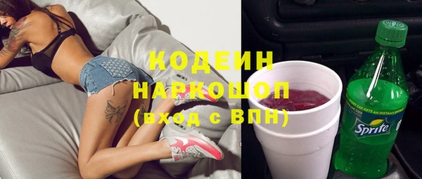 хмурый Няндома
