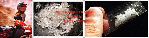 ПСИЛОЦИБИНОВЫЕ ГРИБЫ Осинники
