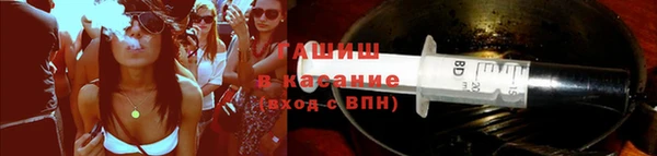 ПСИЛОЦИБИНОВЫЕ ГРИБЫ Осинники