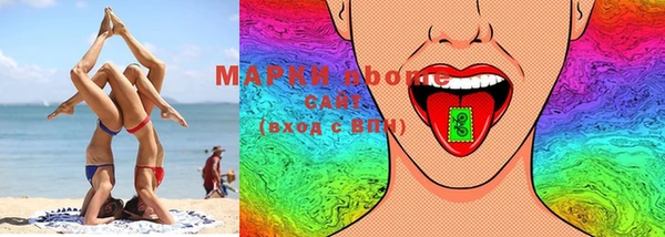 ПСИЛОЦИБИНОВЫЕ ГРИБЫ Осинники